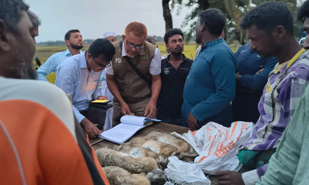বন্য খরগোশ শিকার ও হত্যায় ৪ জনের কারাদণ্ড