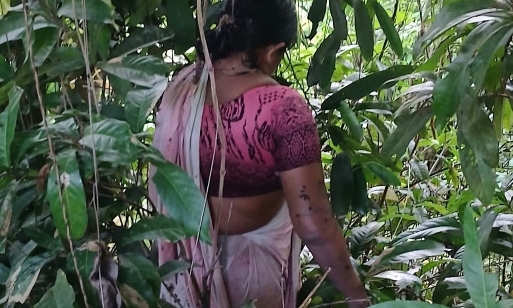স্বর্ণ নিয়ে বের হওয়ার ৩ দিন পর গৃহবধূর ঝুলন্ত মরদেহ উদ্ধার, রহস্য ঘনীভূত