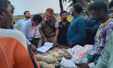 বন্য খরগোশ শিকার ও হত্যায় ৪ জনের কারাদণ্ড