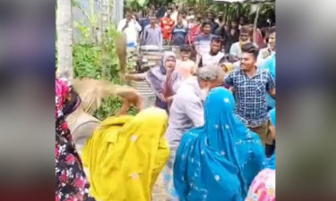 শিশুদের অনৈতিক প্রস্তাব দেওয়ার অভিযোগে মেহেন্দিগঞ্জে বৃদ্ধকে ঝাড়ুপেটা