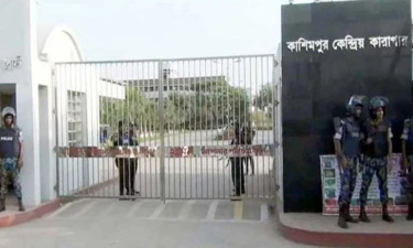 বিডিআরের সাবেক ৮ সদস্য জামিনে মুক্ত