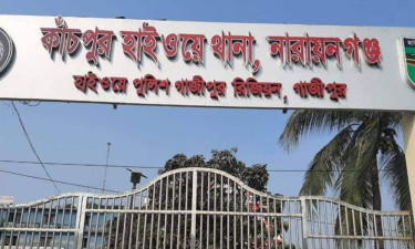 সোনারগাঁয়ে দুর্ঘটনার কবলে আনারসবোঝাই ট্রাক, নিহত ২