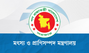 ‘ভারত থেকে গরু আমদানির অনুমতিপত্র’ প্রচার, মন্ত্রণালয়ের জরুরি সকর্তবার্তা