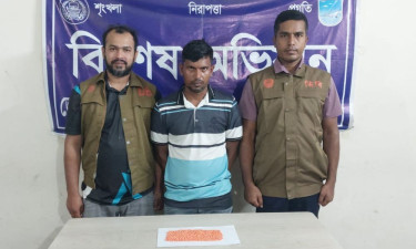 আশুলিয়ায় ১ হাজার ৩০০ পিস ইয়াবাসহ কারবারি গ্রেপ্তার