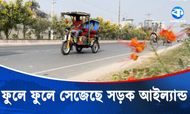 সড়ক আইল্যাল্ডে বাহারি ফুলগাছ, বদলে গেছে কুষ্টিয়া শহর