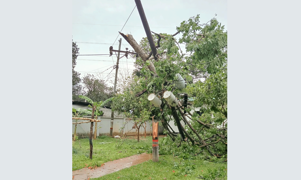 কালবৈশাখী ঝড়ে মিরসরাইয়ে বিদ্যুৎবিপর্যয়, অন্ধকারে ২০ হাজার গ্রাহক