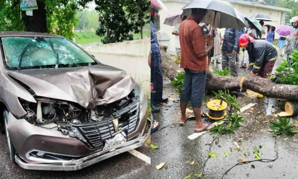 চলন্ত প্রাইভেট কারের ওপর পড়ল শতবর্ষী আমগাছ