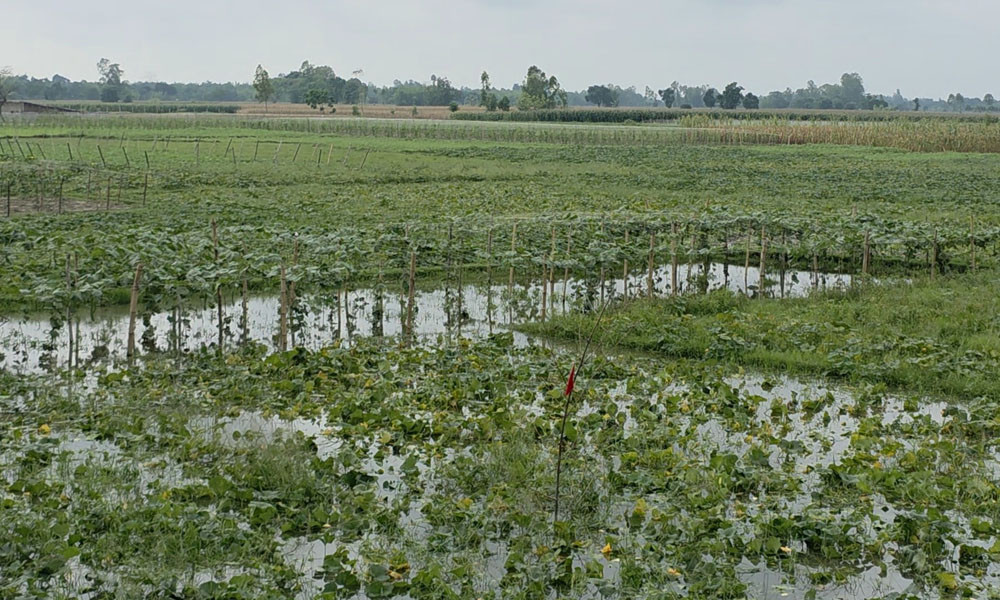 কৃষকের স্বপ্ন পানির নিচে