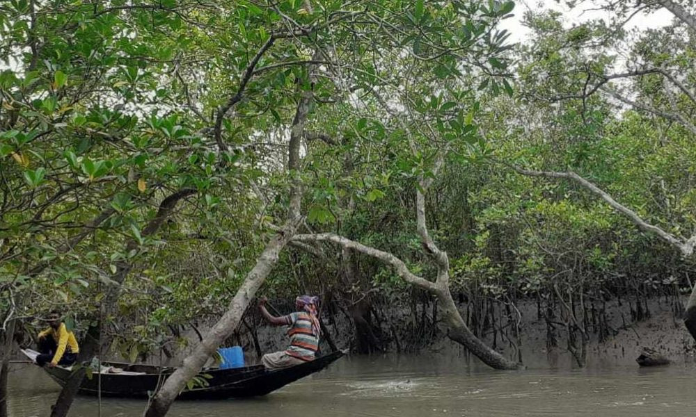 সুন্দরবনে মুক্তিপণের দাবিতে দুই বনজীবী অপহরণ