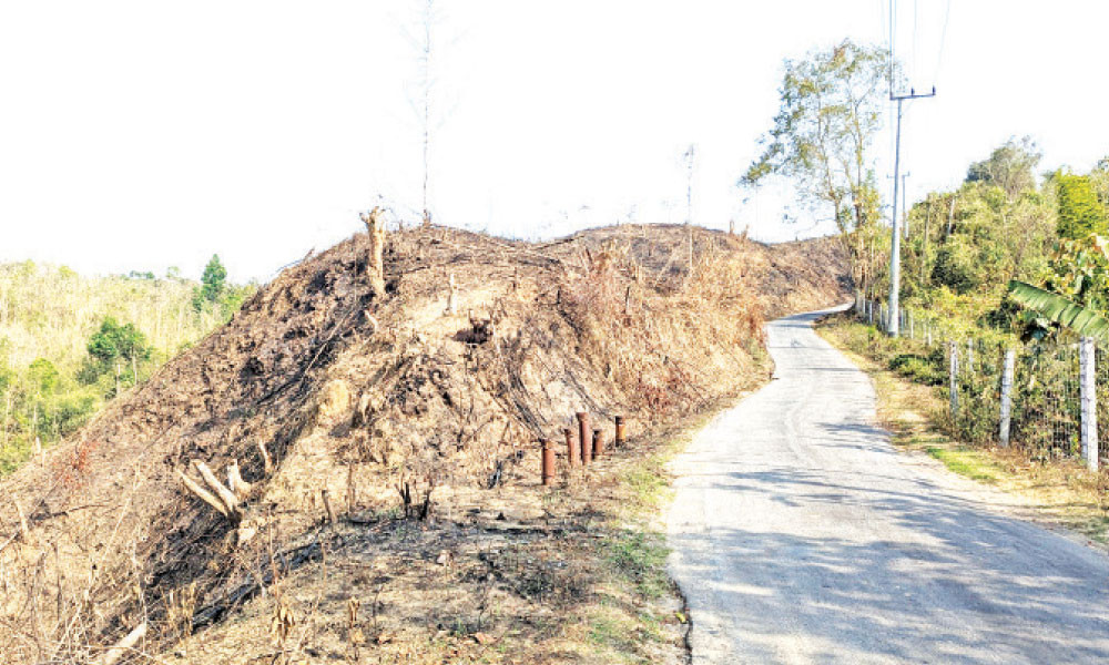 লোভের বলি ১১ লাখ হেক্টর পাহাড়