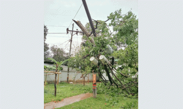 কালবৈশাখী ঝড়ে মিরসরাইয়ে বিদ্যুৎবিপর্যয়, অন্ধকারে ২০ হাজার গ্রাহক