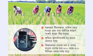 জ্বালানি চাপেই কি থমকে যাচ্ছে উন্নয়নের গতি