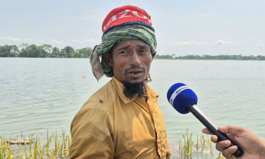 হাওরে ভেসে গেল সোলেমানের স্বপ্ন