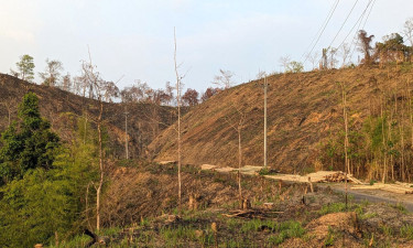 পাহাড়ের ১১ লাখ হেক্টর এখন বনশূন্য