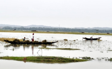 হাকালুকির পানিতে ভাসছে কৃষকের স্বপ্ন