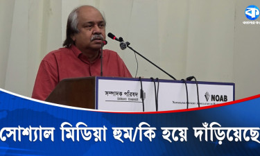 অন্তর্বর্তী সরকারের আমলে মিডিয়া আক্রান্ত হয়েছে : হাসান হাফিজ