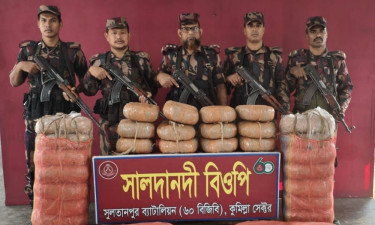 ব্রাহ্মণপাড়ায় ১২০ কেজি ভারতীয় গাঁজা জব্দ