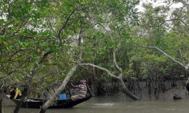 সুন্দরবনে মুক্তিপণের দাবিতে দুই বনজীবী অপহরণ