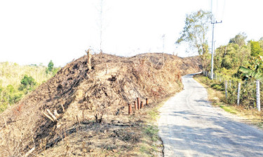 লোভের বলি ১১ লাখ হেক্টর পাহাড়