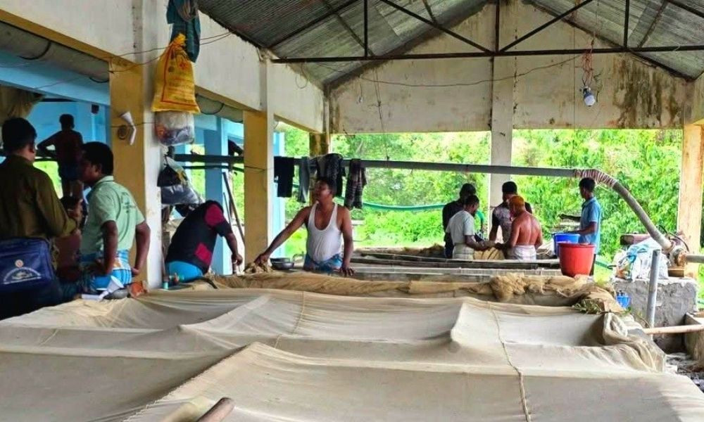 হালদা নদীতে প্রাপ্ত ডিম থেকে উৎপাদিত রেনু বিক্রি শুরু মঙ্গলবার