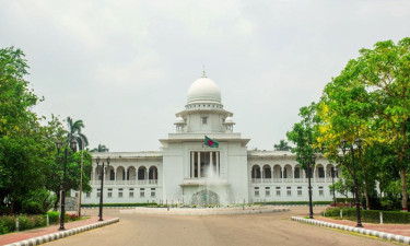 ২০৮ প্রবাসী জুলাইযোদ্ধাকে ২৫ লাখ টাকা করে ক্ষতিপূরণ দিতে রুল