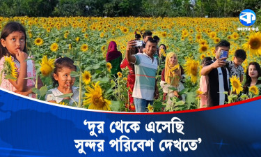 সূর্যমুখীর রাজত্বে কৈবর্তখালী গ্রাম এখন পর্যটন কেন্দ্র
