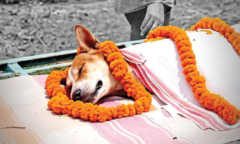 কালী স্মরণ করিয়ে দিল হুমায়ূন আহমেদকে