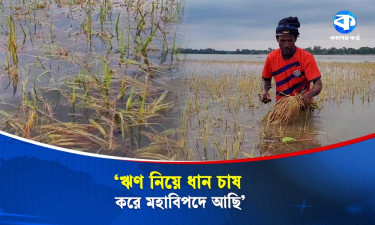 হাওরে কৃষকদের আহাজারি, ক্ষতিগ্রস্তদের দাবি সরকারি সহযোগিতা