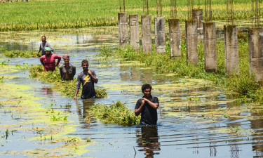 ‘আর দুই দিন বৃষ্টি হইলে সব তলাইয়া যাইবো’