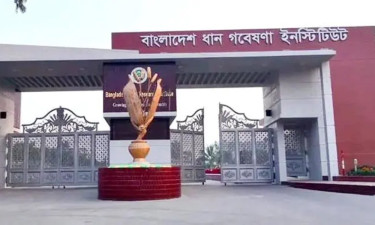 ব্রি-তে ডিজি নিয়োগ ঘিরে উত্তেজনা, এবার দায়িত্বে এক অতিরিক্ত সচিব