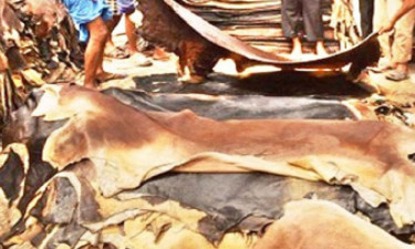 বকেয়া পরিশোধ ছাড়াই ঋণ পাবেন চামড়া ব্যবসায়ীরা