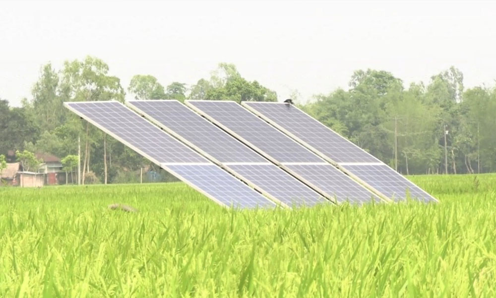 জ্বালানিসংকটে বাড়ছে সৌর সেচ পাম্পের চাহিদা
