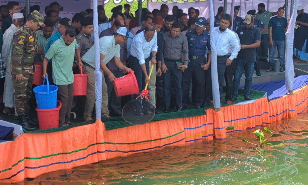 কাপ্তাই হ্রদে পোনা অবমুক্ত ও ভিজিএফ চাল বিতরণের কার্যক্রম উদ্বোধন মৎস্য প্রতিমন্ত্রীর