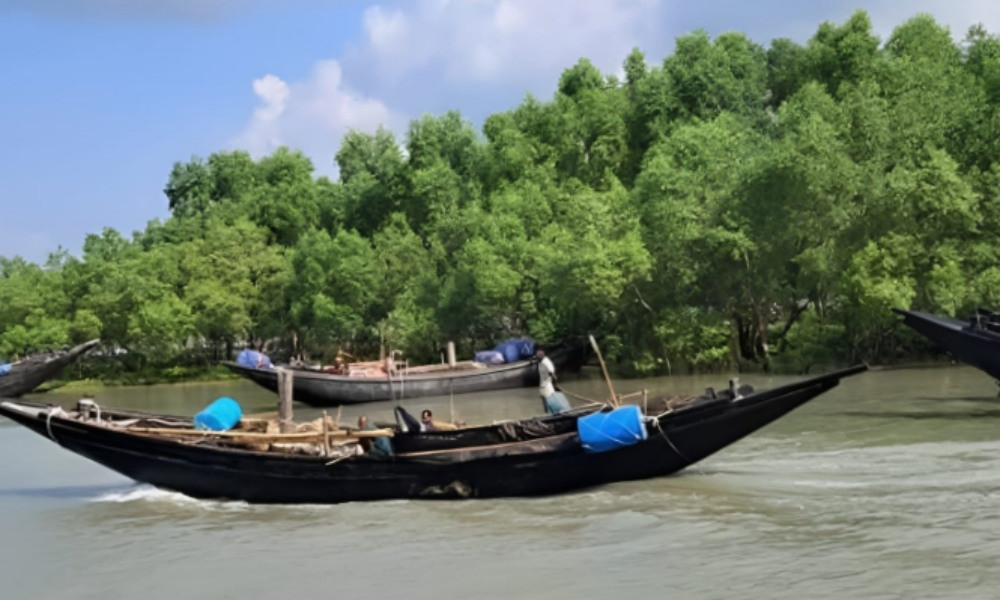 সুন্দরবনে ২২ জেলে অপহরণ, মুক্তিপণ দেওয়ার শর্তে ফিরলেন পাঁচ জন