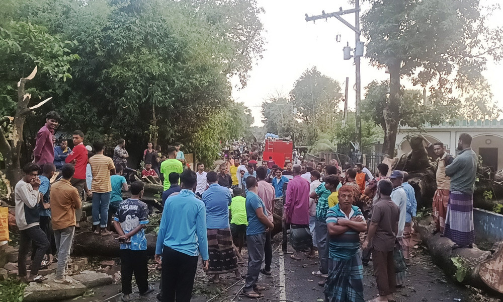 বিদ্যুতের দাম বৃদ্ধির প্রস্তাব প্রত্যাহারের দাবি বাসদের