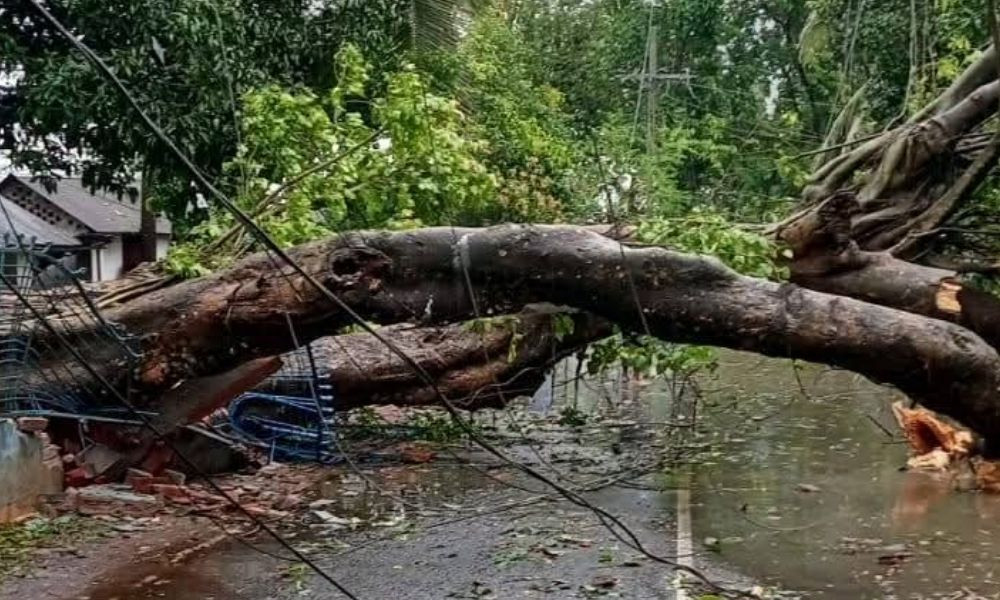 আক্কেলপুরে কালবৈশাখীর তাণ্ডব