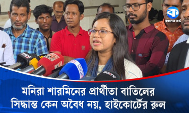 বিএনপির চারজন নারী এমপির আরপিও’তে অসঙ্গতি আছে: মনিরা শারমিন