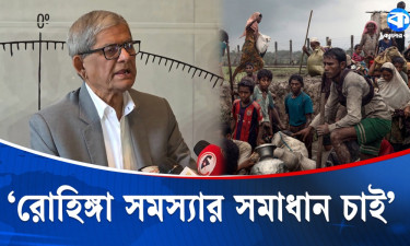 বন্ধু দেশের সঙ্গে ভালো সম্পর্ক  স্থিতিশীল রাখতে কাজ করতে হবে : মির্জা ফখরুল