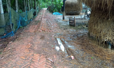 মির্জাগঞ্জে ১৫ বছর ধরে বেহাল রাস্তা, জনদুর্ভোগ চরমে