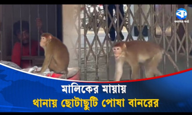 মালিকের খোঁজে থানায় বানর, এক বিরল ভালোবাসার দৃশ্য!