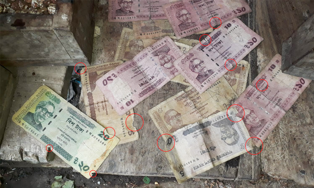 টাকা যেন জীবাণুর কারখানা, একাংশ পোড়ে কারা?
