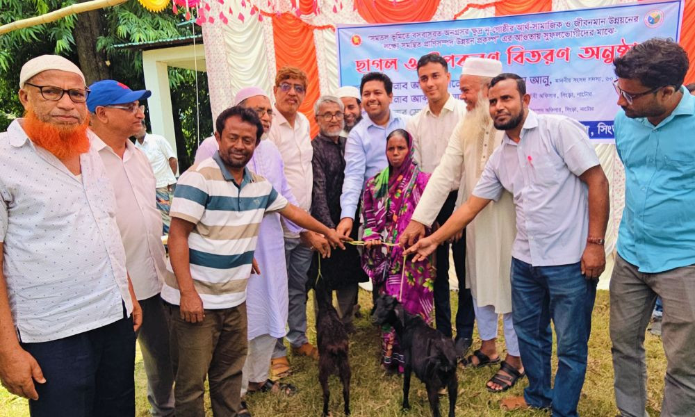 সিংড়ায় ক্ষুদ্র নৃগোষ্ঠী পরিবারের মাঝে ২০০ ছাগল বিতরণ
