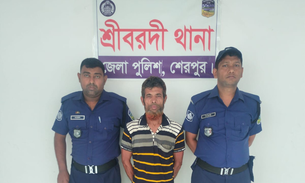 শ্রীবরদীতে ইয়াবাসহ মাদক বিক্রেতা গ্রেপ্তার, আদালতে প্রেরণ