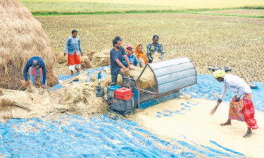 রাজশাহী বরেন্দ্র অঞ্চল