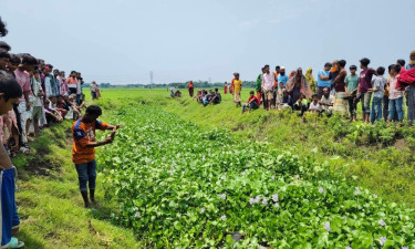পাবনায় খাল থেকে অজ্ঞাত ব্যক্তির মরদেহ উদ্ধার