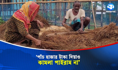 ‘আমার সব ধানক্ষেত পানির নিচে, কান্না করা ছাড়া উপায় নেই’