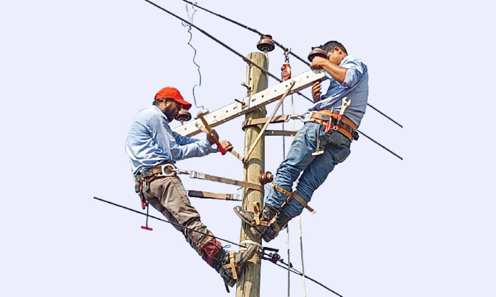 ১০৩৫ লাইনম্যান নেবে পল্লী বিদ্যুৎ
