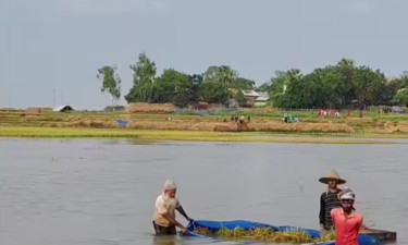 ভারত থেকে আসা পানিতে তলিয়ে গেল শত শত কৃষি জমি, দিশেহারা কৃষকরা