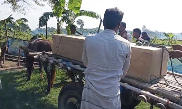 ১ মাস পর দেশে এলো লেবাননে হামলায় নিহত দিপালীর মরদেহ
