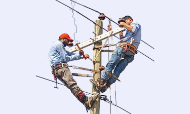 ১০৩৫ লাইনম্যান নেবে পল্লী বিদ্যুৎ